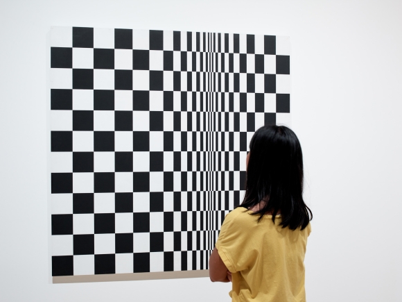 The Arts Council Collection : Conservator's View: Movement in Squares by Bridget Riley